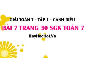 Giải bài 7 trang 30 Toán 7 Tập 1 SGK Cánh Diều